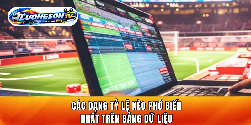 Các dạng tỷ lệ kèo phổ biến nhất trên bảng dữ liệu