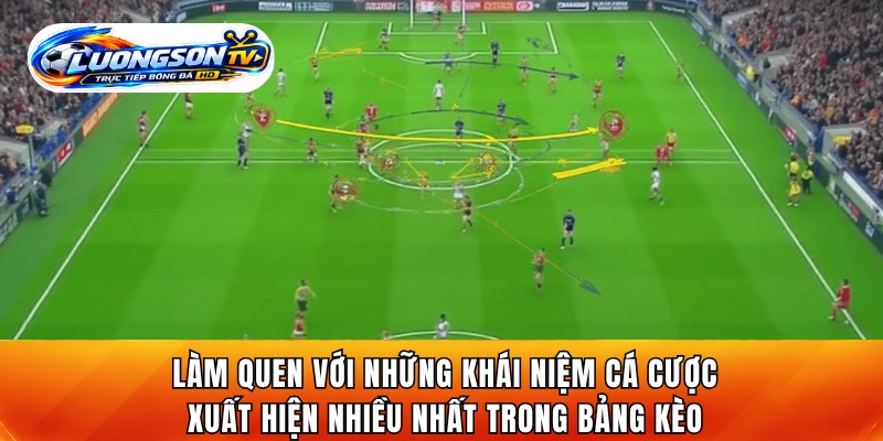 Người mới làm quen với những thuật ngữ cá cược bóng đá cơ bản